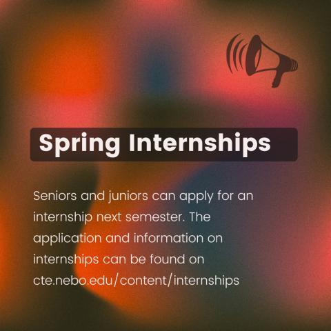 Spring Internships