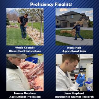 Proficiency Finalists
